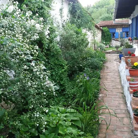 Casa Anca Cheile Nerei * Sokolar