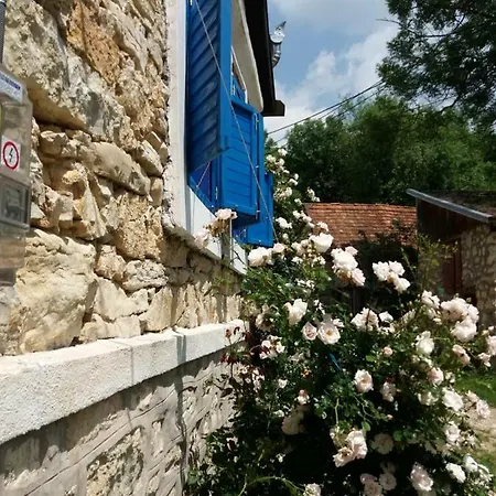 Dom wakacyjny Casa Anca Cheile Nerei